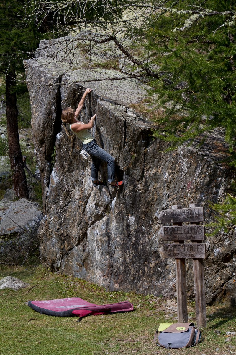 Aurore   Levi   Figli di Annib